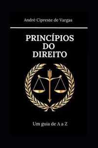 Principios Do Direito