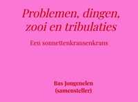 Problemen, dingen, zooi en tribulaties - Bas Jongenelen - Paperback (9789464183184)