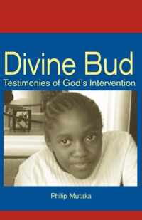 Divine Bud: Testimonies of God's Intervention