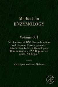 Mechanisms of DNA Recombination and Genome Rearrangements: Intersection Between Homologous Recombination, DNA Replication and DNA Repair