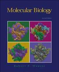 Molecular Biology