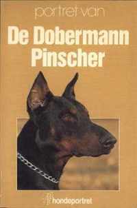 Portret van de Dobermann Pinscher