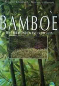 Bamboe - Doesburg