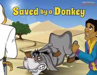 Saved by a Donkey