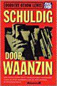 Schuldig door waanzin