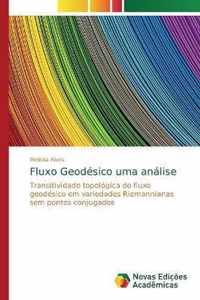 Fluxo Geodesico uma analise