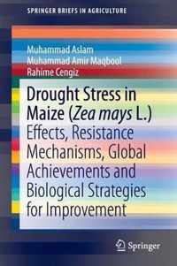 Drought Stress in Maize Zea mays L
