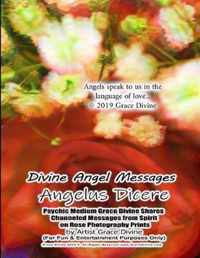 Divine Angel Messages Angelus Dicere Psychic Medium Grace Divine Shares Channeled Messages from Spirit on Rose Photography Prints by Artist Grace Divi
