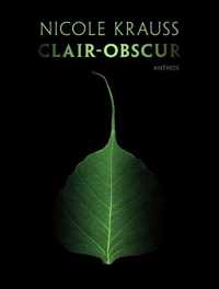 Clair-obscur