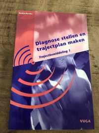 Diagnose Stellen Trajectplan Maken 1 1E