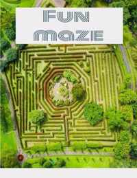 Maze Book - Easy to Moderate to Challenging Puzzles: Maze Puzzle Book - Easy to Moderate to Challenging Puzzles