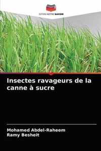 Insectes ravageurs de la canne a sucre