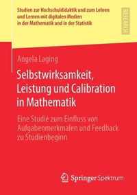 Selbstwirksamkeit Leistung und Calibration in Mathematik