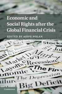 Economic Social Rights Financial Crisis
