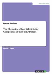 The Chemistry of Low Valent Sulfur Compounds in the S-H2O System