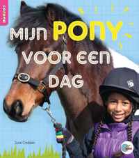 In de ROOS  -   Mijn pony voor een dag