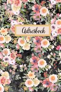 Adresboek - Telefoonregister