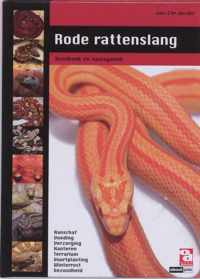 Over Dieren - Rode rattenslang