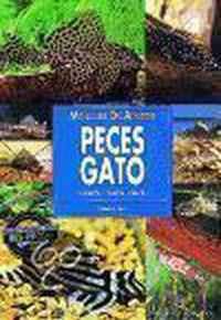 Peces Gato / Catfish