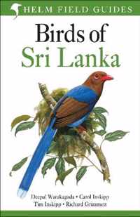 Birds Of Sri Lanka