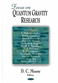 Focus on Quantum Gravity Research
