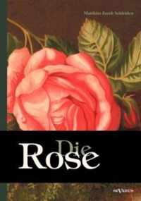 Die Rose: Geschichte und Symbolik in ethnographischer und kulturhistorischer Beziehung: Mit einem chromolithographierten Titelbi
