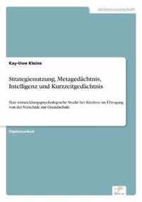 Strategienutzung, Metagedachtnis, Intelligenz und Kurzzeitgedachtnis