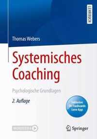 Systemisches Coaching