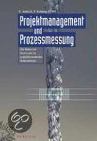 Projektmanagement Und Prozessmessung