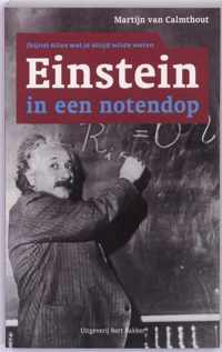 Einstein In Een Notendop