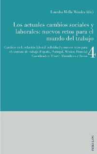 Los actuales cambios sociales y laborales: nuevos retos para el mundo del trabajo; Libro 4