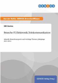Branche IT, Elektronik, Telekommunikation