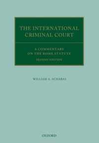 The International Criminal Court