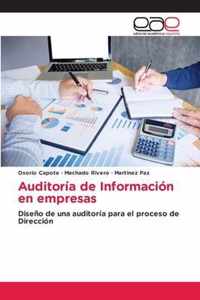 Auditoria de Informacion en empresas