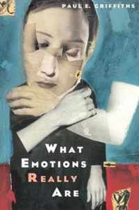 What Emotions Really Are - The Problem of Psychological Categories (Paper)