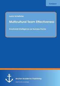 Multicultural Team Effectiveness