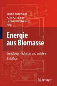 Energie Aus Biomasse