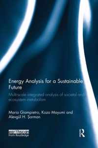 Energy Analysis for a Sustainable Future