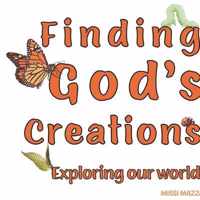 Finding God's Creations