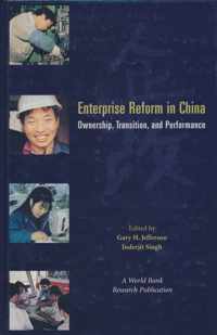 Enterprise Reform in China