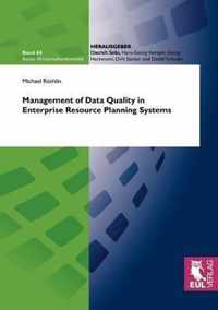 Management of Data Quality in Enterprise Resource Planning Systems