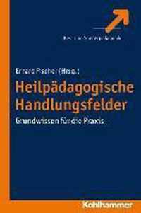 Heilpadagogische Handlungsfelder