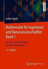 Mathematik fuer Ingenieure und Naturwissenschaftler Band 1