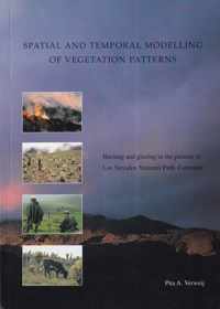 Spatial and temporal modelling of vegetation patterns