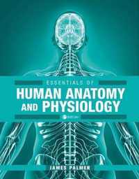 Essentials of Human Anatomy and Physiology