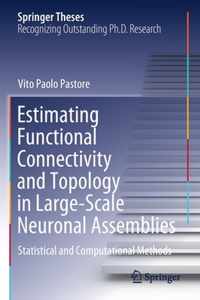 Estimating Functional Connectivity and Topology in Large-Scale Neuronal Assemblies