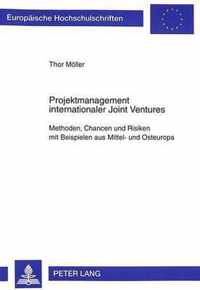 Projektmanagement Internationaler Joint Ventures