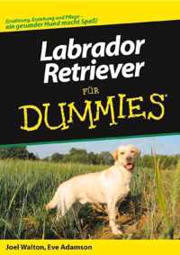 Labrador-Retriever Fur Dummies