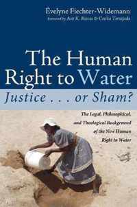 The Human Right to Water