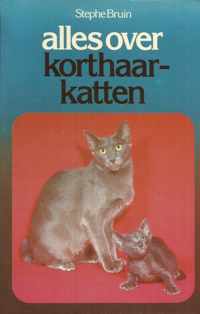 Alles over korthaarkatten